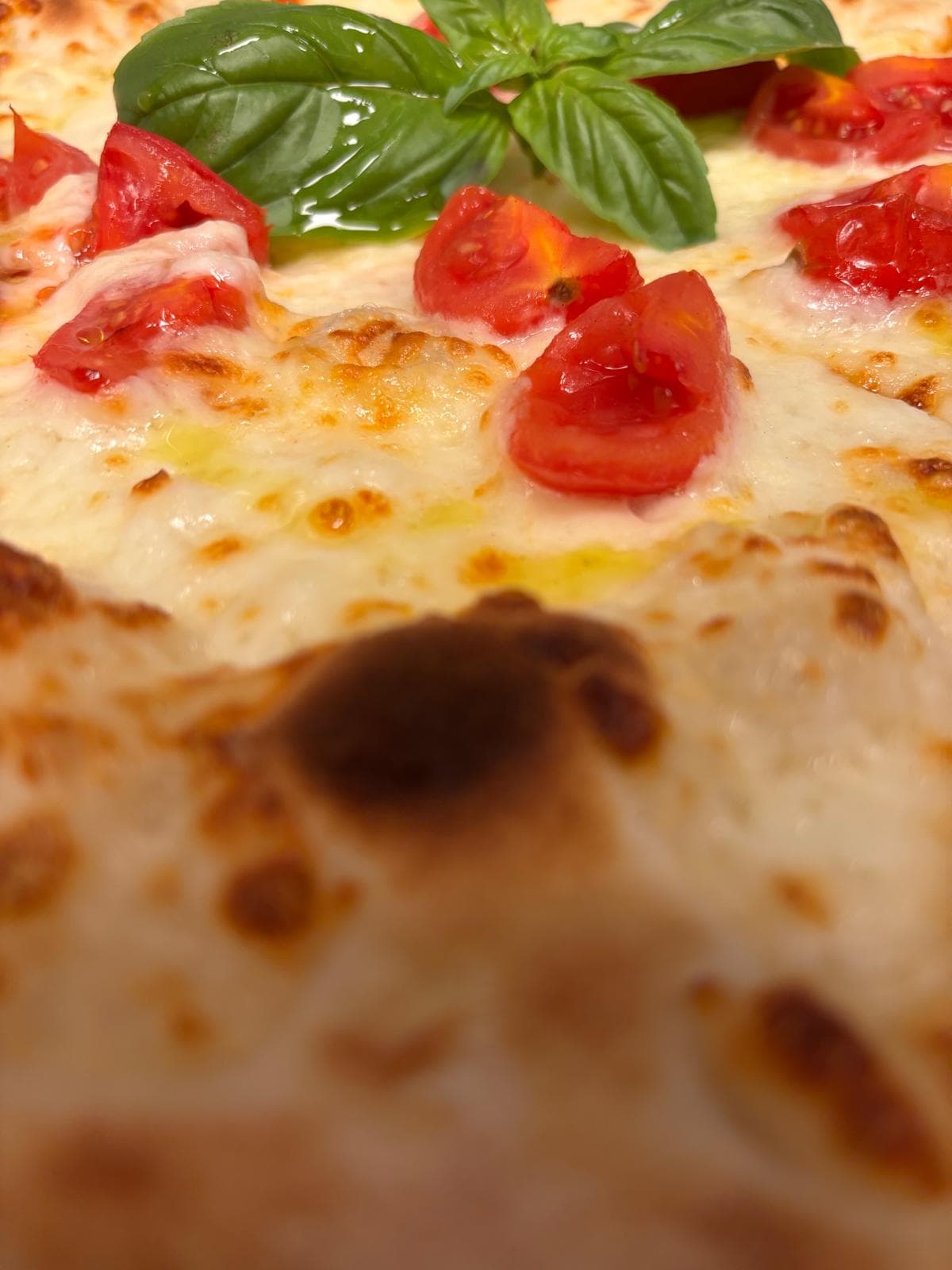 Scatto 3 dalla galleria New Pitti